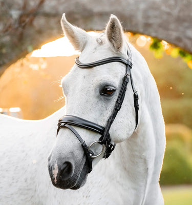 Horseware Ireland Black Horseware Ireland Pony Flash Bridle| Online For Equine