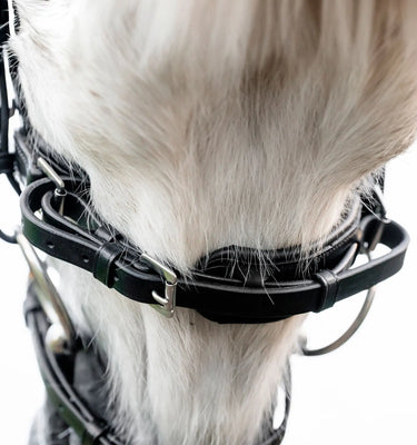 Horseware Ireland Black Horseware Ireland Pony Flash Bridle| Online For Equine