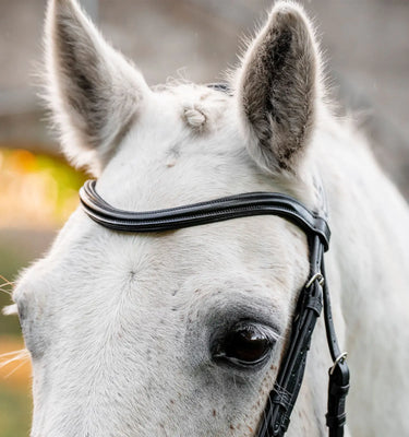 Horseware Ireland Black Horseware Ireland Pony Flash Bridle| Online For Equine