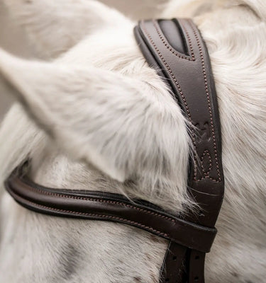 Horseware Ireland Black Horseware Ireland Pony Flash Bridle| Online For Equine