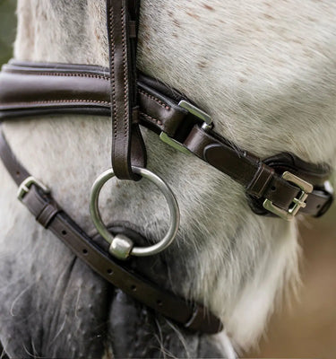 Horseware Ireland Black Horseware Ireland Pony Flash Bridle| Online For Equine
