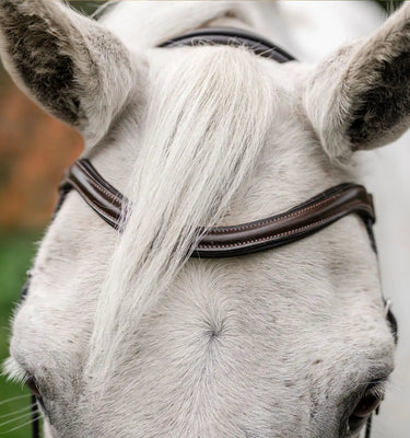 Horseware Ireland Black Horseware Ireland Pony Flash Bridle| Online For Equine