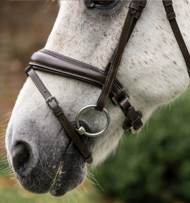 Horseware Ireland Black Horseware Ireland Pony Flash Bridle| Online For Equine