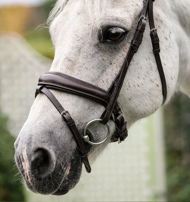 Horseware Ireland Black Horseware Ireland Pony Flash Bridle| Online For Equine