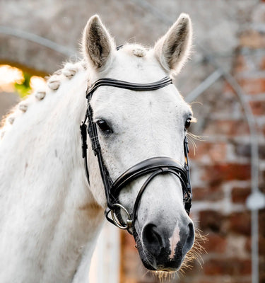 Horseware Ireland Black Horseware Ireland Pony Flash Bridle| Online For Equine