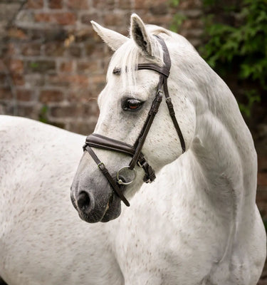 Horseware Ireland Black Horseware Ireland Pony Flash Bridle| Online For Equine
