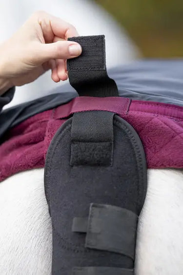Horseware Ireland Black Horseware Ireland Tail Guard & Bag| Online For Equine