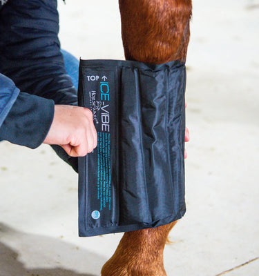Horseware Ireland Black Ice-Vibe Cold Packs - Leg| Online For Equine