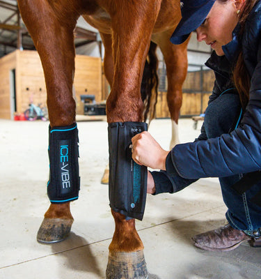 Horseware Ireland Black Ice-Vibe Cold Packs - Leg| Online For Equine