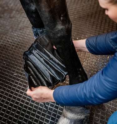 Horseware Ireland Black Ice-Vibe Cold Packs - Leg| Online For Equine
