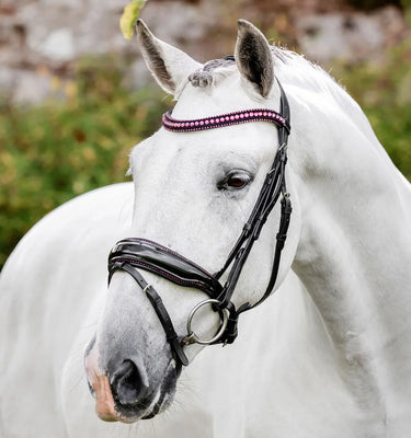 Horseware Ireland Black/Pink Horseware Ireland Diamante Flash Bridle| Online For Equine