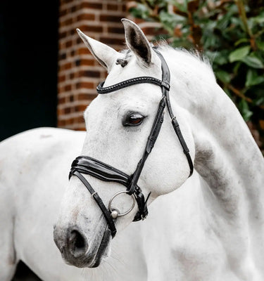 Horseware Ireland Black/Pink Horseware Ireland Diamante Flash Bridle| Online For Equine
