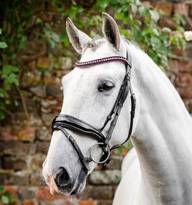 Horseware Ireland Black/Silver Horseware Ireland Diamante Flash Bridle| Online For Equine