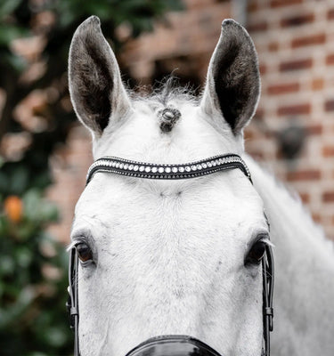 Horseware Ireland Black/Silver Horseware Ireland Diamante Flash Bridle| Online For Equine