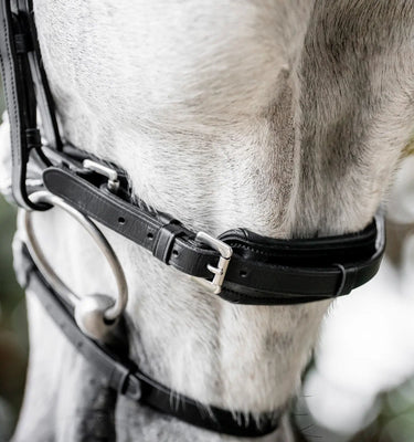 Horseware Ireland Black/Silver Horseware Ireland Diamante Flash Bridle| Online For Equine