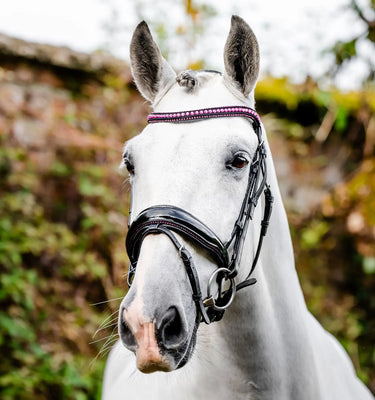 Horseware Ireland Black/Silver Horseware Ireland Diamante Flash Bridle| Online For Equine
