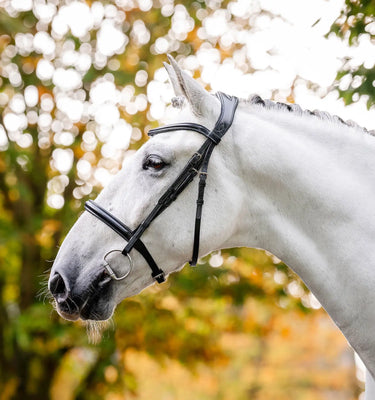 Horseware Ireland Brown Horseware Ireland Cavesson Bridle| Online For Equine