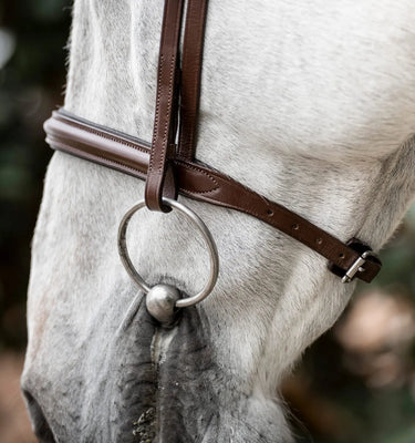 Horseware Ireland Brown Horseware Ireland Cavesson Bridle| Online For Equine