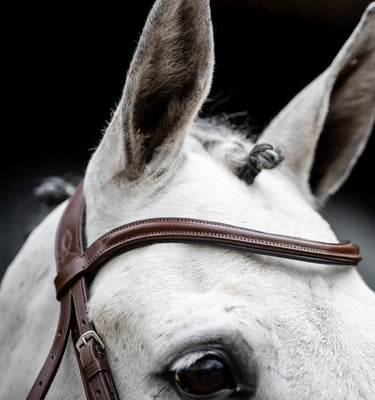 Horseware Ireland Brown Horseware Ireland Cavesson Bridle| Online For Equine