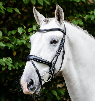 Horseware Ireland Brown Horseware Ireland Dressage Flash Bridle| Online For Equine