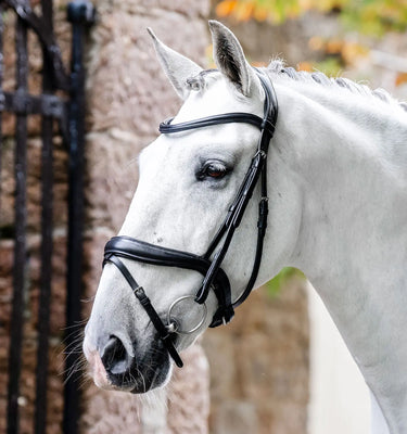 Horseware Ireland Brown Horseware Ireland Dressage Flash Bridle| Online For Equine