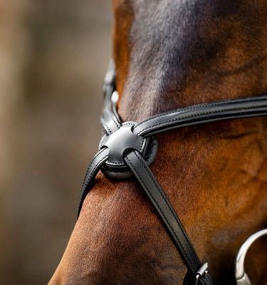 Horseware Ireland Brown Horseware Ireland Figure 8 Grackle Bridle| Online For Equine