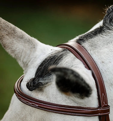 Horseware Ireland Brown Horseware Ireland Hunter Cavesson Bridle w/reins| Online For Equine