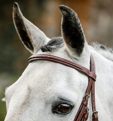 Horseware Ireland Brown Horseware Ireland Hunter Cavesson Bridle w/reins| Online For Equine