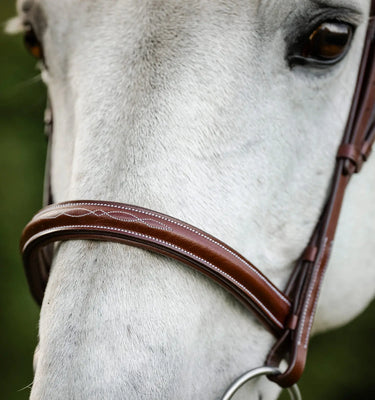 Horseware Ireland Brown Horseware Ireland Hunter Cavesson Bridle w/reins| Online For Equine