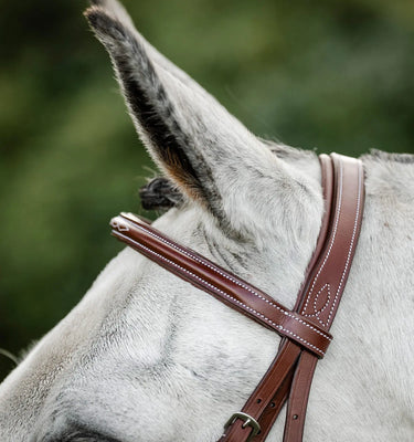 Horseware Ireland Brown Horseware Ireland Hunter Cavesson Bridle w/reins| Online For Equine