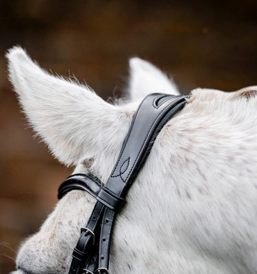 Horseware Ireland Brown Horseware Ireland Pony Cavesson Bridle| Online For Equine
