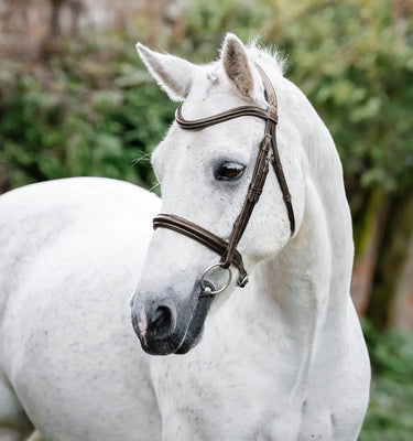 Horseware Ireland Brown Horseware Ireland Pony Cavesson Bridle| Online For Equine