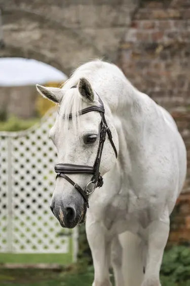 Horseware Ireland Brown Horseware Ireland Pony Flash Bridle| Online For Equine