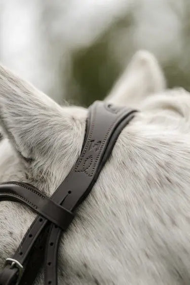 Horseware Ireland Brown Horseware Ireland Pony Flash Bridle| Online For Equine