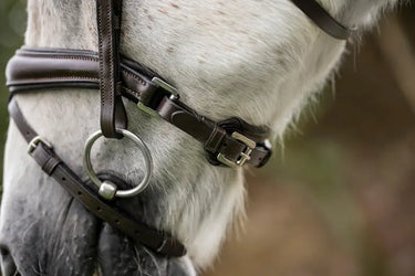 Horseware Ireland Brown Horseware Ireland Pony Flash Bridle| Online For Equine