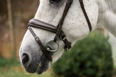 Horseware Ireland Brown Horseware Ireland Pony Flash Bridle| Online For Equine