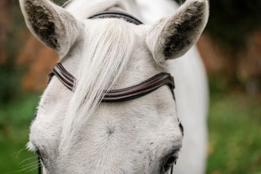 Horseware Ireland Brown Horseware Ireland Pony Flash Bridle| Online For Equine