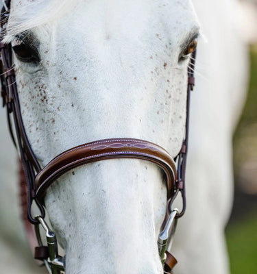 Horseware Ireland Brown Horseware Ireland Pony Hunter Cavesson Bridle w/reins| Online For Equine
