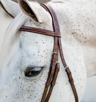 Horseware Ireland Brown Horseware Ireland Pony Hunter Cavesson Bridle w/reins| Online For Equine