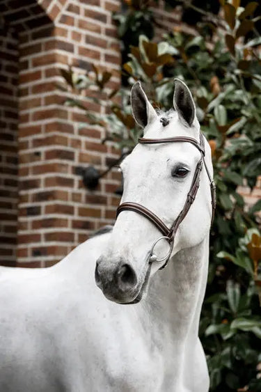 Horseware Ireland Cavesson Bridle| Online For Equine