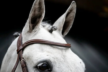 Horseware Ireland Cavesson Bridle| Online For Equine