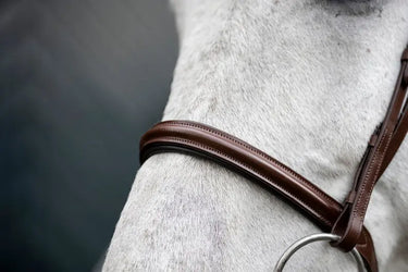 Horseware Ireland Cavesson Bridle| Online For Equine