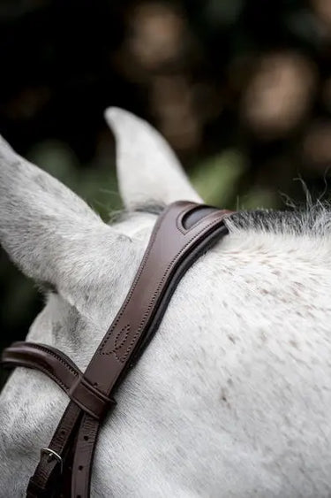 Horseware Ireland Cavesson Bridle| Online For Equine