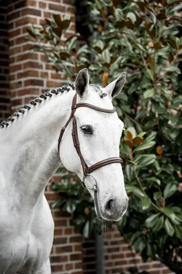 Horseware Ireland Cavesson Bridle| Online For Equine