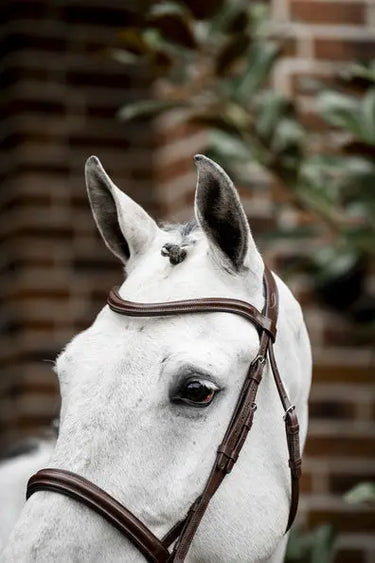 Horseware Ireland Cavesson Bridle| Online For Equine