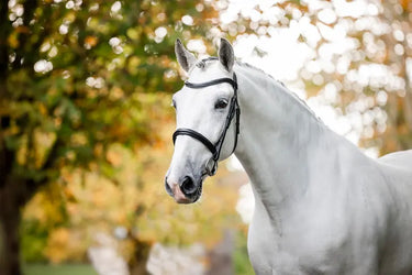 Horseware Ireland Cavesson Bridle| Online For Equine