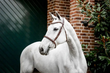 Horseware Ireland Cavesson Bridle| Online For Equine