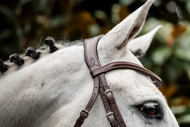 Horseware Ireland Cavesson Bridle| Online For Equine