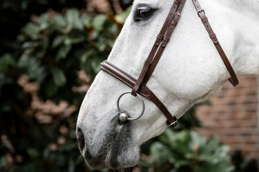 Horseware Ireland Cavesson Bridle| Online For Equine