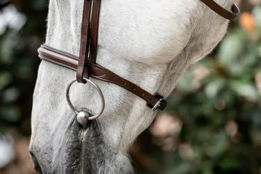 Horseware Ireland Cavesson Bridle| Online For Equine